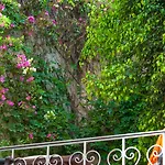 Splanzia Boutique